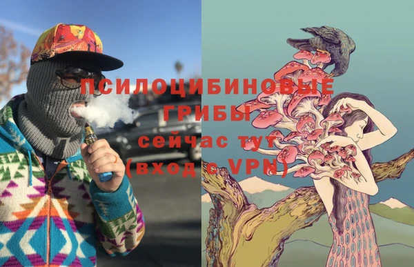 a pvp Кулебаки