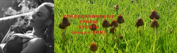 наркотики Кукмор