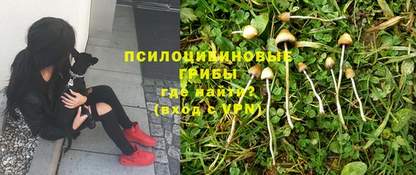 тгк Куйбышев